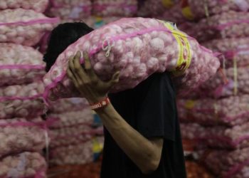 Kementan: Bawang Putih Butuh Tambahan Impor Mulai Maret