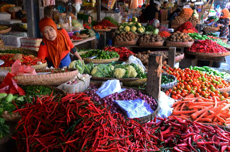 Kementan: Akhir Januari Harga Cabai Dipastikan Turun