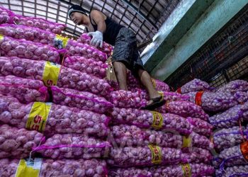Stok Bawang Putih di RI Mulai Menipis