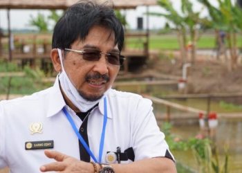 Alokasi Pupuk Subsidi Tahun 2021 Bertambah