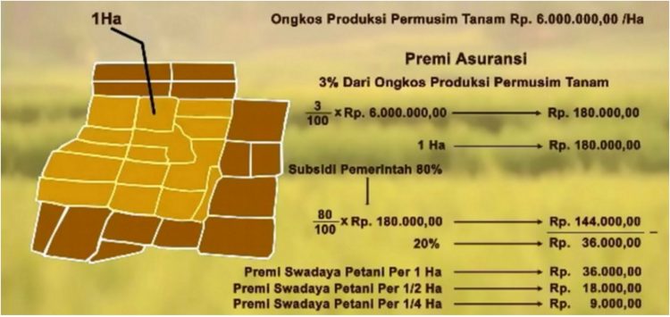 Asuransi Usaha Tani Padi, Solusi Kegagalan Panen