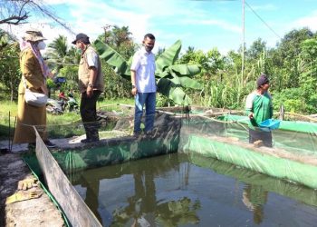 CSR Pertamina Hulu Mahakam Adopsi Model Pekarangan Pangan Lestari