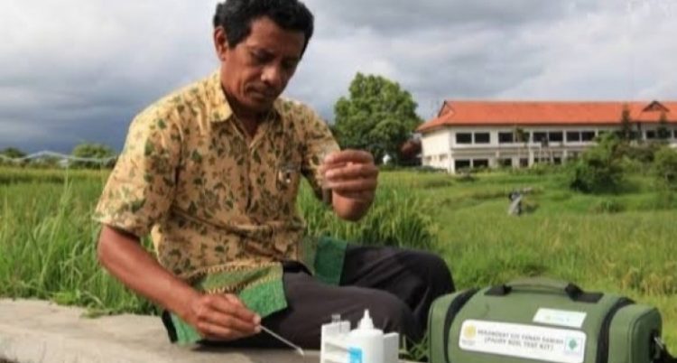 Hemat Penggunaan Pupuk dengan Dosis Rekomendasi PUTS