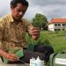 Hemat Penggunaan Pupuk dengan Dosis Rekomendasi PUTS