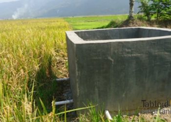 Irigasi Perpompaan Jadikan Sawah di Kerinci Bisa Tanam 2 Kali