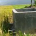 Irigasi Perpompaan Jadikan Sawah di Kerinci Bisa Tanam 2 Kali