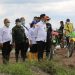 Kementan Optimis Lahan Food Estate Rampung Tepat Waktu