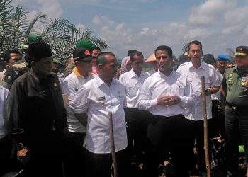 Mentan Genjot Produksi Padi Lahan Kering di Padang Lawas