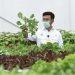 Mentan Syahrul Dorong Penerapan Smart Green House di Seluruh Indonesia