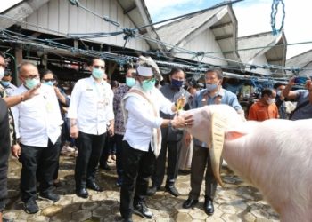 Mentan Syahrul Pantau Aktivitas Jual Beli Pasar Ternak Tallunglipu
