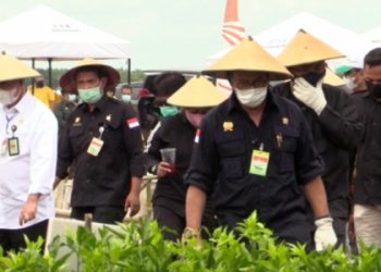 Mentan SYL: Perkuat Ketahanan Pangan Berawal Dari Skala Rumah Tangga