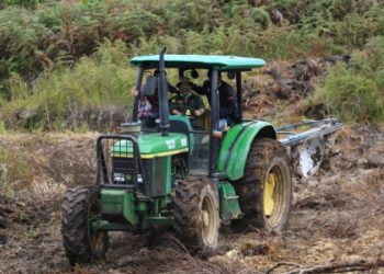 Mentan SYL Tinjau Kawasan Food Estate Humbang Hasundutan
