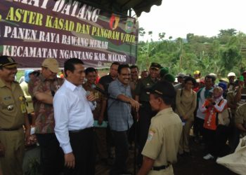 Menteri Pertanian Panen Bawang di Ngantang – Malang, Tegaskan Produksi Tetap Berjalan