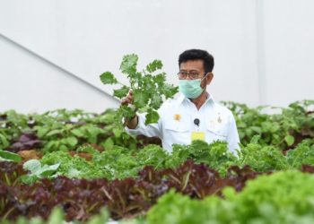 Pengamat Nilai Kementan Berhasil Kendalikan Produksi dan Harga Pangan tahun ini