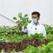 Pengamat Nilai Kementan Berhasil Kendalikan Produksi dan Harga Pangan tahun ini