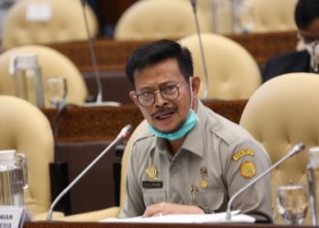 Sah, DPR Ketuk Pagu Anggaran 2021 Kementan