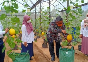 Yuk ke Agroeduwisata Kebun Bibit Cilangkap, Destinasi Wisata Pertanian Ibu Kota
