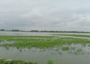 Bantu petani, Kementan respon cepat atasi banjir