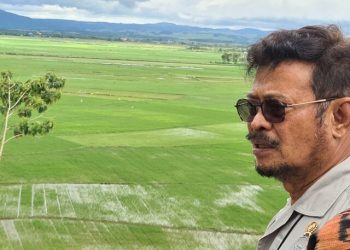 Food Estate Rotiklot, Harapan Baru Ketahanan Pangan Nasional Wilayah Timur