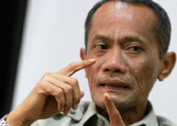 Optimalkan Pekarangan Pangan Lestari, Atasi Masalah Pengangguran
