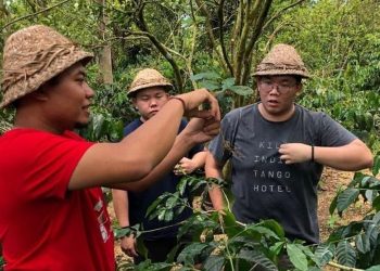 Cerita Pemilik Bali Arabica, Punya Usaha Beromzet Rp 1 M Per Tahun