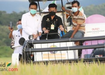 April 2021, Sulsel Panen Padi 2 kali Luas Panen Maret