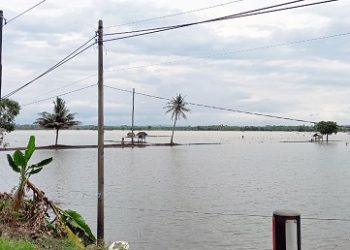 Sawah di Kecamatan Padaherang Pangandaran terendam banjir.