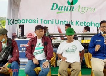 Rencana Impor Beras Pemerintah, Mengguncang Mental Petani dan Pedagang di Sumut