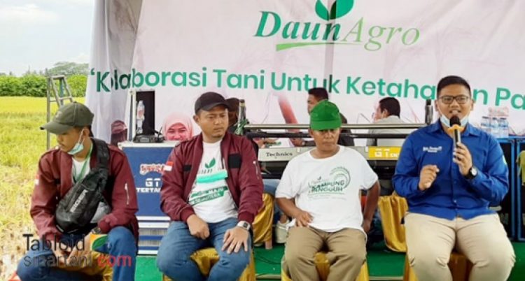 Rencana Impor Beras Pemerintah, Mengguncang Mental Petani dan Pedagang di Sumut