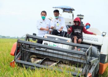 Terjadi Pergeseran Peringkat, Berikut 10 Peringkat Terbesar Provinsi Produsen Beras 2020