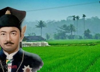 Banten yang pernah menjadi eksportir beras terkuat di Asia Tenggara