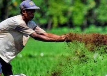 Jawab Isu Lingkungan, Pemerintah Giatkan Padi Bebas Residu