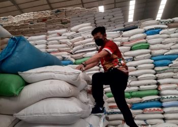 Kementan Jaga Strategi Produksi Dan Pengendalian Pangan