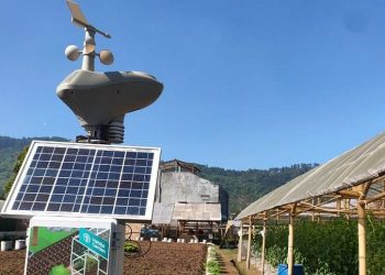 Kementerian Pertanian dorong petani muda dengan sentuhan Smart Farming