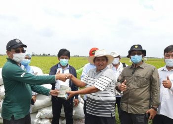 Petani Subang Sumringah, Gabah Hasil Panen Langsung Dibeli di Lokasi Rp 4.400/Kg
