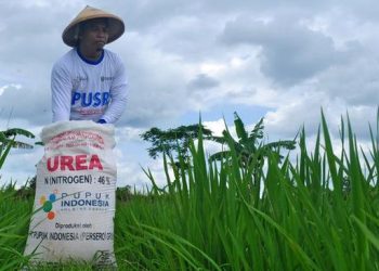 Ternyata Ini yang Bikin Para Petani Susah Dapat Pupuk Subsidi