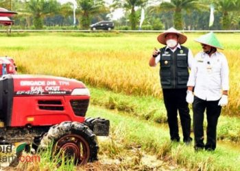 Serap Gabah di Sumsel, Mentan SYL Komitmen Bantu Petani
