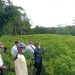 Blitar siap kawal stok cabai Nasional