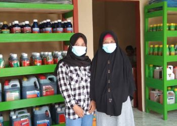 Pemasaran Online Naikkan Omset Toko Pertanian