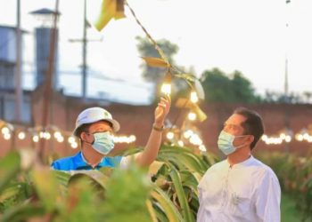 148 Ribu Petani Berkolaborasi Dengan PLN Dalam Program Listrik Agrikultur