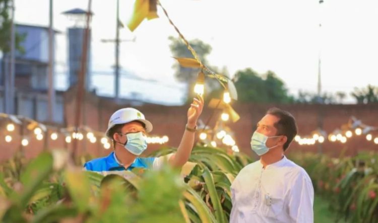 148 Ribu Petani Berkolaborasi Dengan PLN Dalam Program Listrik Agrikultur